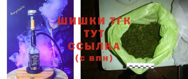 СК Абинск