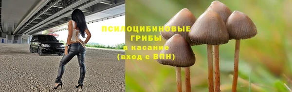 СК Абинск