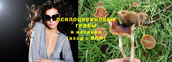 а пвп мука Дмитровск